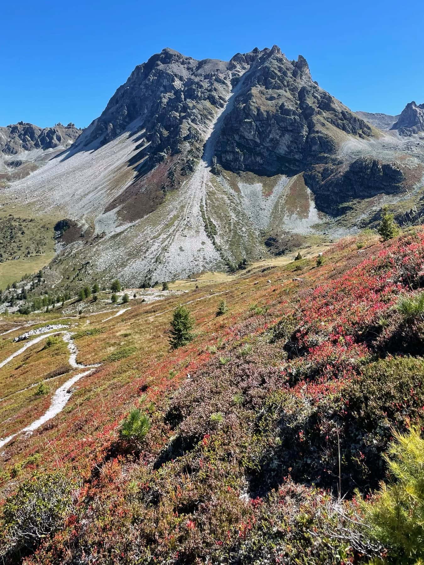 Bruyère rouge d'automne sous des sommets rocheux
